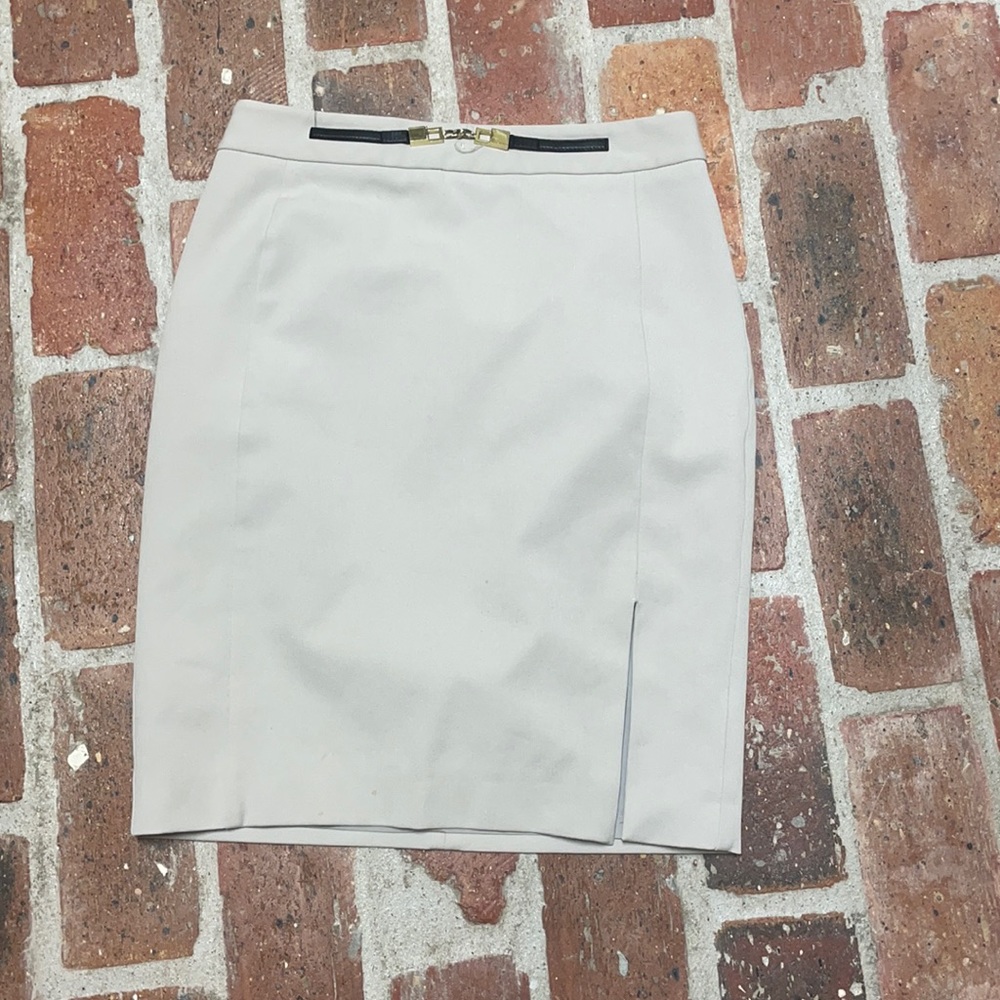 Pencil Skirt